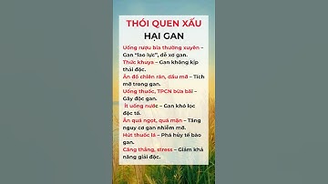 THÓI QUEN XẤU HẠI GAN #shortvideo #songkhoe247 #meovat #shorts #thoiquensongkhoe  #sucsongtre