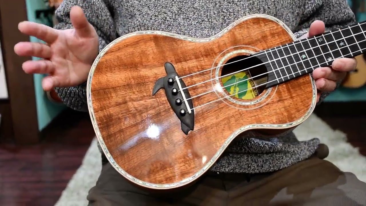 NEW/Big Island KX-CTG DELUXE CONCERT【S/N220334