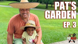 Pat Neely's Garden (Episode 3)