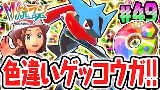 超激レアな色違いメガゲッコウガをゲット!!レベルMAXのきらきらドーナツを使いこなせ!!ポケモンZAのDLC最速実況Part49【Pokémon LEGENDS Z-A M次元ラッシュ】