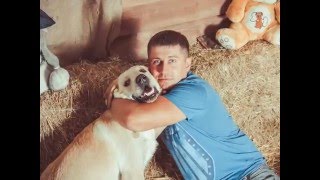 лабрадор Джейсон и его хозяин Иван Шмыгля лабрадор Джейсон и его хозяин Иван Шмыгля