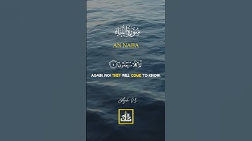 সূরা আন-নবা (An-Naba, سورة النبأ) | মহাবার্তা ও কিয়ামতের বার্তা | ক্বারি আবু রাইহান | Kitabullah TV