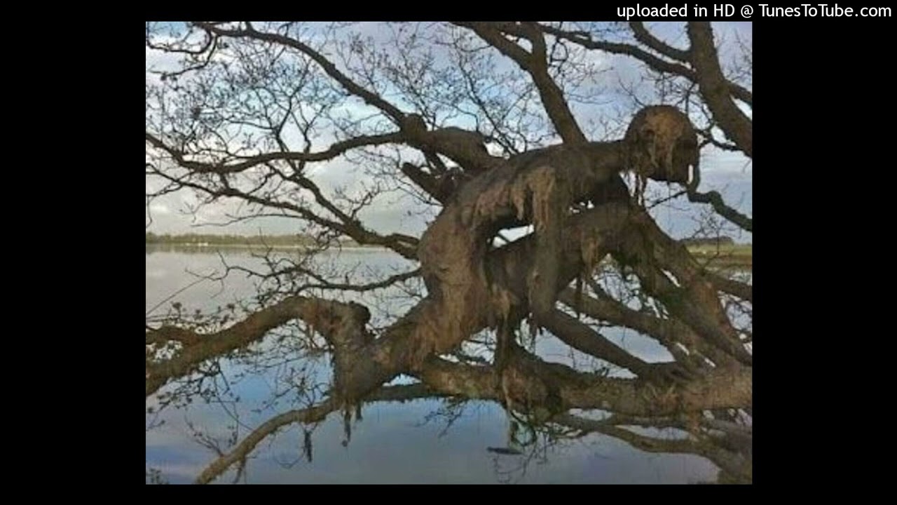 emo x midwest x experimental type beat - swamp enemy