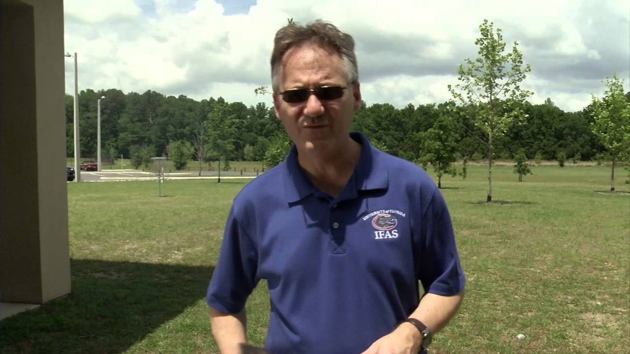 4 H Cookout Food Safety