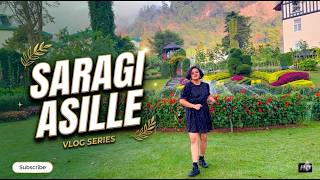 SARAGI ASILLE