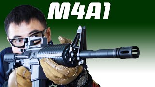 mqdefault.jpg