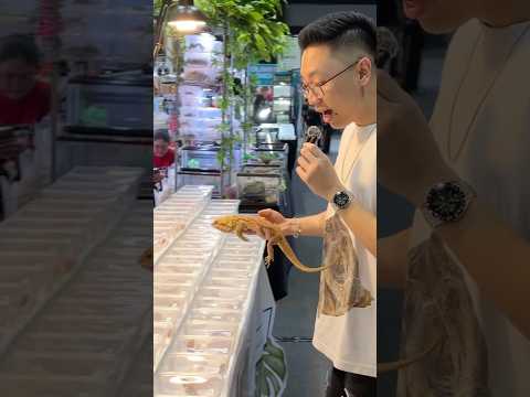 GREBEK PAMERAN HEWAN EKSOTIS TERBESAR DAN TERLENGKAP DI DALAM MALL