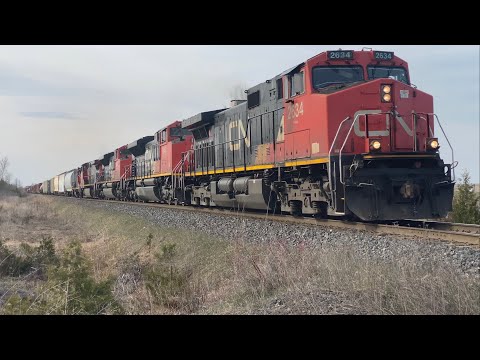 Rare CN 450 in daylight Rare CN 450 in daylight