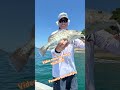 Episódio novo no nosso YouTube, pescaria com a dupla @bogofishing em Paraty no rj