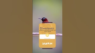 القارئ عمر الدريويز سورة الزمر تلاوة عذبة بلمقام العراقي 😴🤍