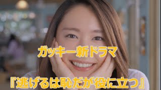 ガッキー新ドラマ 逃げるは恥だが役に立つ に主演 Youtube ガッキー新ドラマ 逃げるは恥だが役に立つ に主演 Youtube