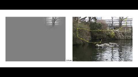 Gaze-contingent moving-Spotlight demo for visual search in dynamic scenes.