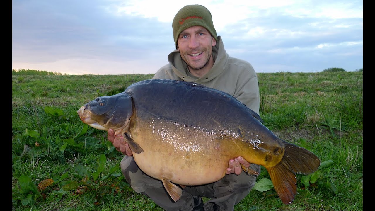 BIG CARP from The Willows Lake YouTube