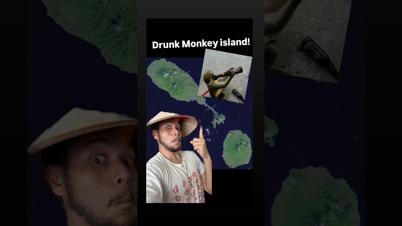 Drunk monkey Island