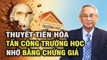 ⚡ Người Vượn Piltdown: BẰNG CHỨNG GIẢ Hợp Pháp Hóa Thuyết Tiến Hóa | Thuyết Tiến Hóa - Tập 2 (P1/2)