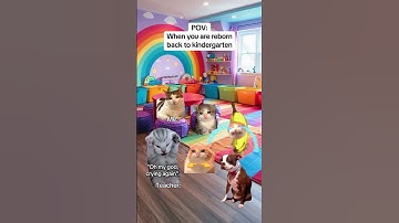 CAT MEMES 🐱When you are reborn back to kindergarten #catmemes #relatable #relationship