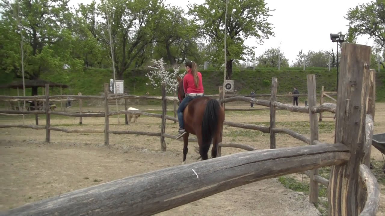 Korzó - Lovasíjászat Adán