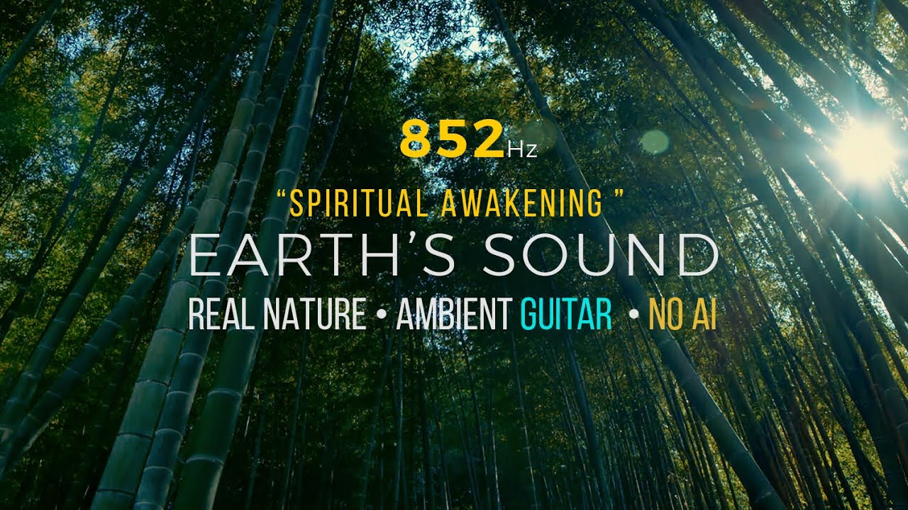 852Hz Solfeggio Frequency – Earth's Sound 'Bamboo Spirit