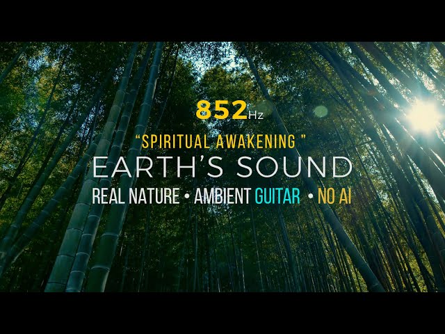 852Hz Solfeggio Frequency – Earth's Sound 'Bamboo Spirit