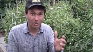 How to Store Compost for the Winter & other Organic Gardening Questions Answered
