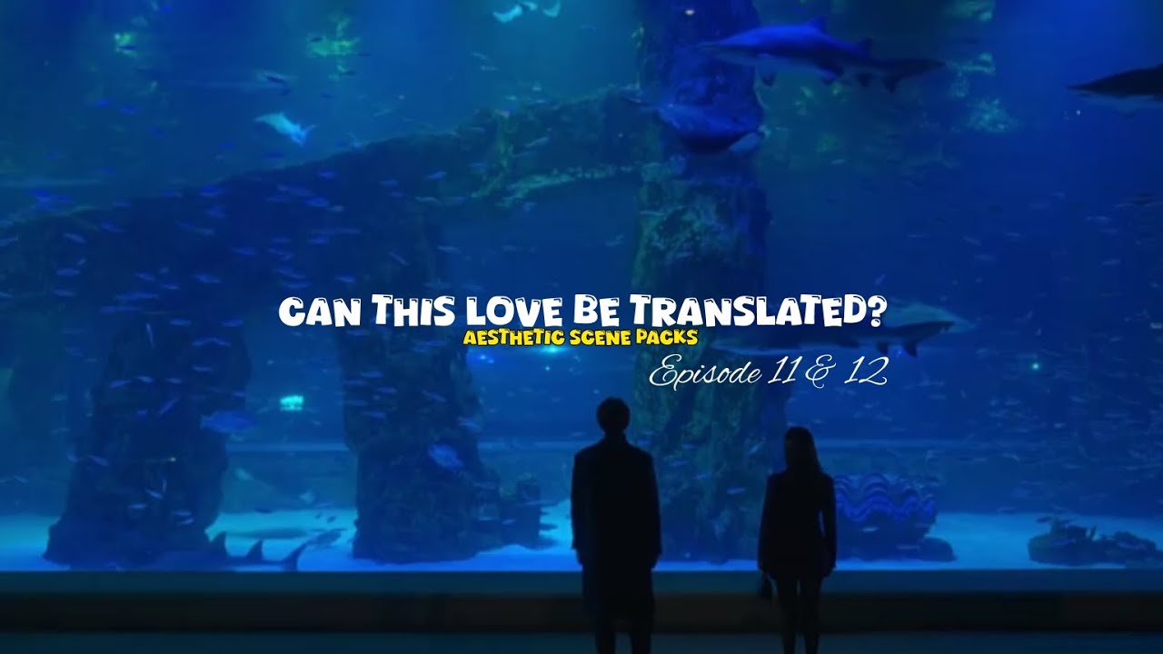 Can this love be translated?–Aesthetic scene packs episode-11&12[Kim Seon Ho, Go Yoon Jung, Kdrama