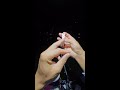 Fishing - Live Stream