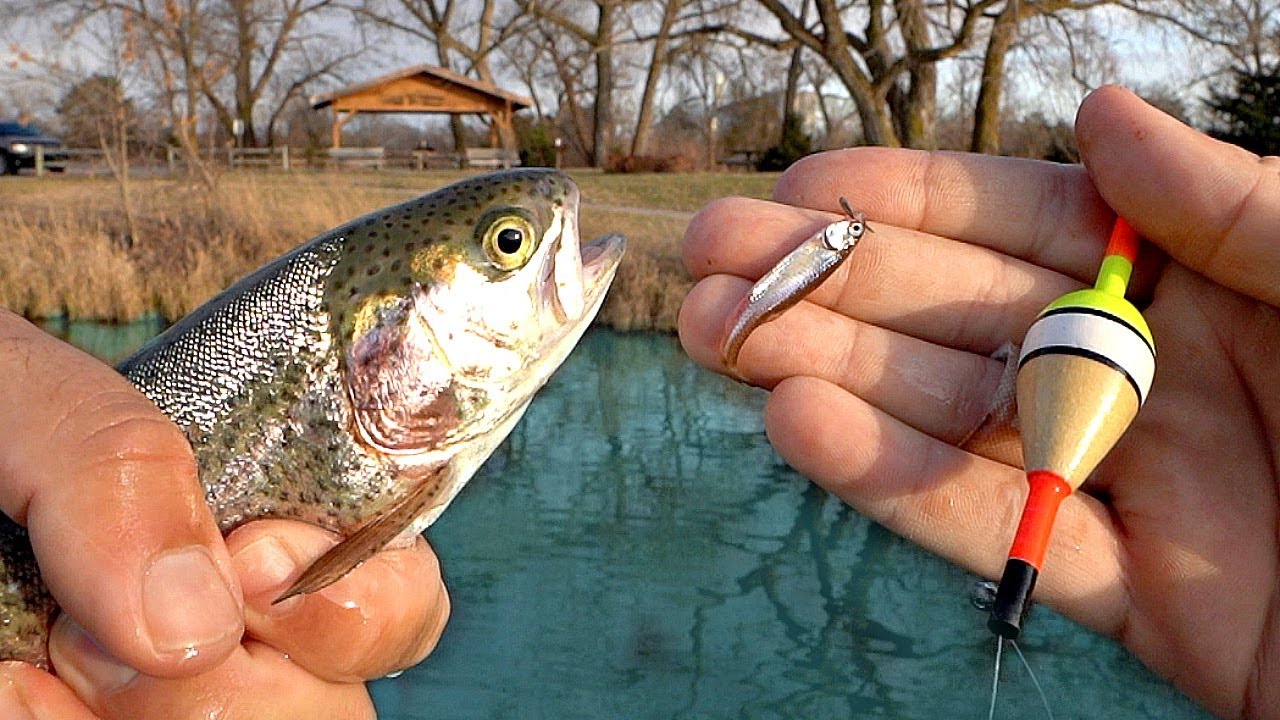 Pond Fishing with LIVE Minnows!!! 