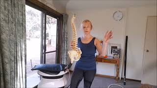 Applied Posture Riding Explaining Back Pain in Horse Riders