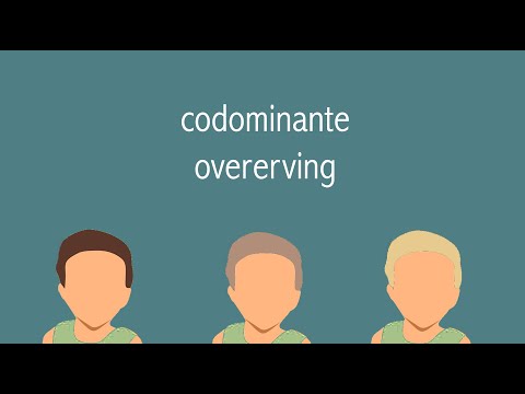 Codominante overerving