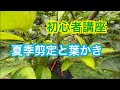 初心者講座【夏季剪定と葉かき】7月~