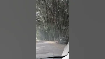 غابة بوغابة طبيعية خلابة 