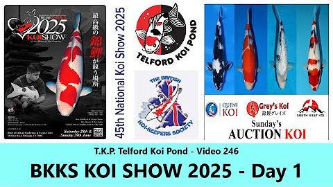 T.K.P. Telford Koi Pond - Video 246 - BKKS KOI SHOW 2025   Day 1   #koi #ponds #japan #show