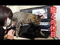 猫との休日/釣ったイカを捌いて食べる/猫からのメッセージ