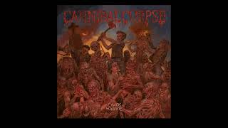 Cannibal Corpse - 8 Pitchfork Impalement | Chaos Horrific 2023 #deathmetal