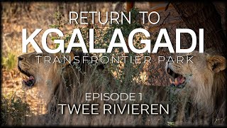 RETURN TO THE KGALAGADI - Episode 1 - Twee Rivieren