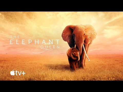 The Elephant Queen trailer