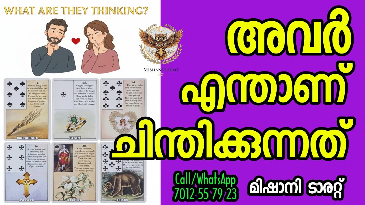 ✨🌟 What are they Thinking 🌟✨