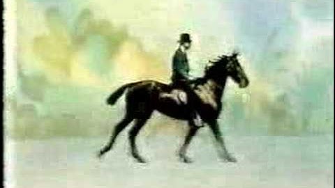 Bits & Bytes - The Computer