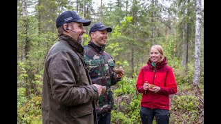 Möten i torvmarksskog - PR Forest Oy: Tero Pitkämäki & Antti Ruuskanen