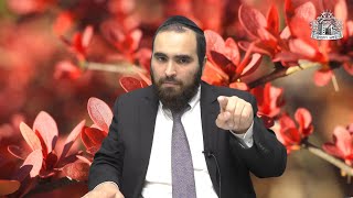 הרב שמואל עידאן - תורת נצח