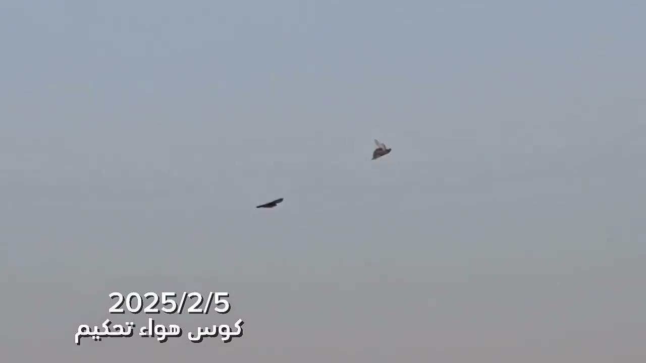 طير شبيب بو فاضل