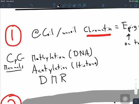 OnlineBio2 Expression