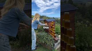 Flow Hive Makes Honey Effortless (@FlowHive)