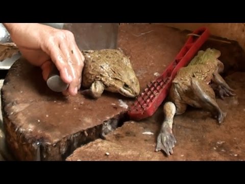How to cook live frogs-Chinatown Kuala Lumpur-Traditional Chinese Style