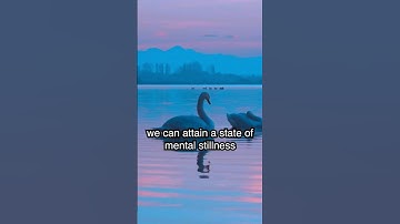 🌌☯️ Do This, To Have Harmony In Your Life #harmony #peace