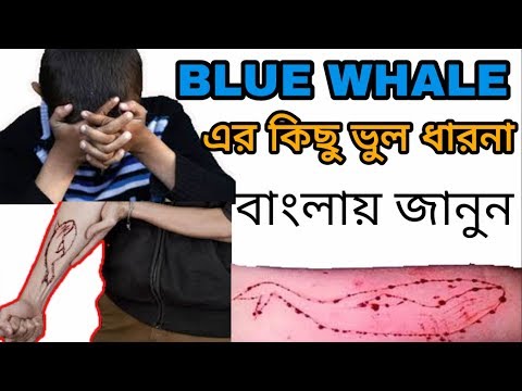 Blue Whale Challenge | Most of The Things You Know are False!