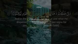 Ha, Meem Quran Recitation