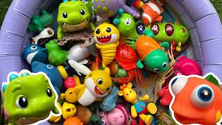 Learn Sea Animals for Kids | Ocean Animal Names &amp; Fun Facts for Toddlers and Preschoolers