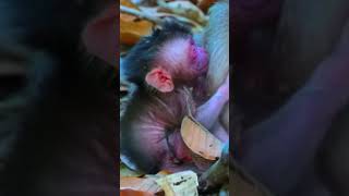 Just born today - Really so cute