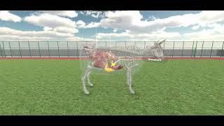 Learn Digestion in Ruminant: K12 Simulation by Avidia Labs screenshot 3